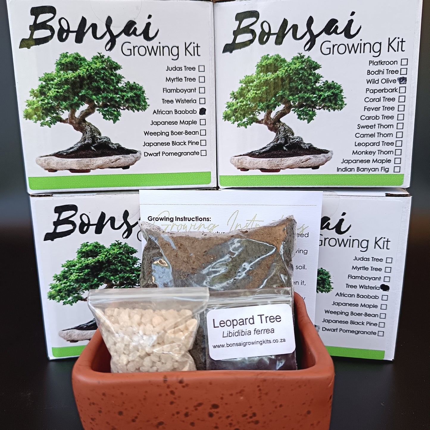 Bonsai Growing Kit - Pepper Tree