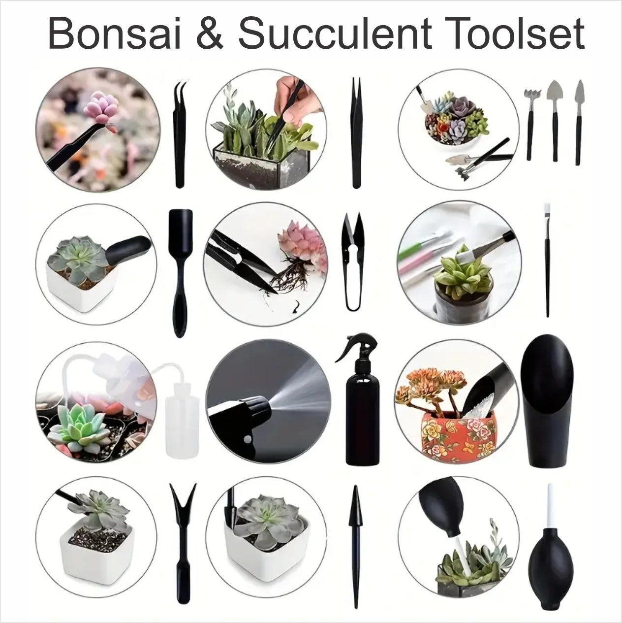 Bosai Gift Box