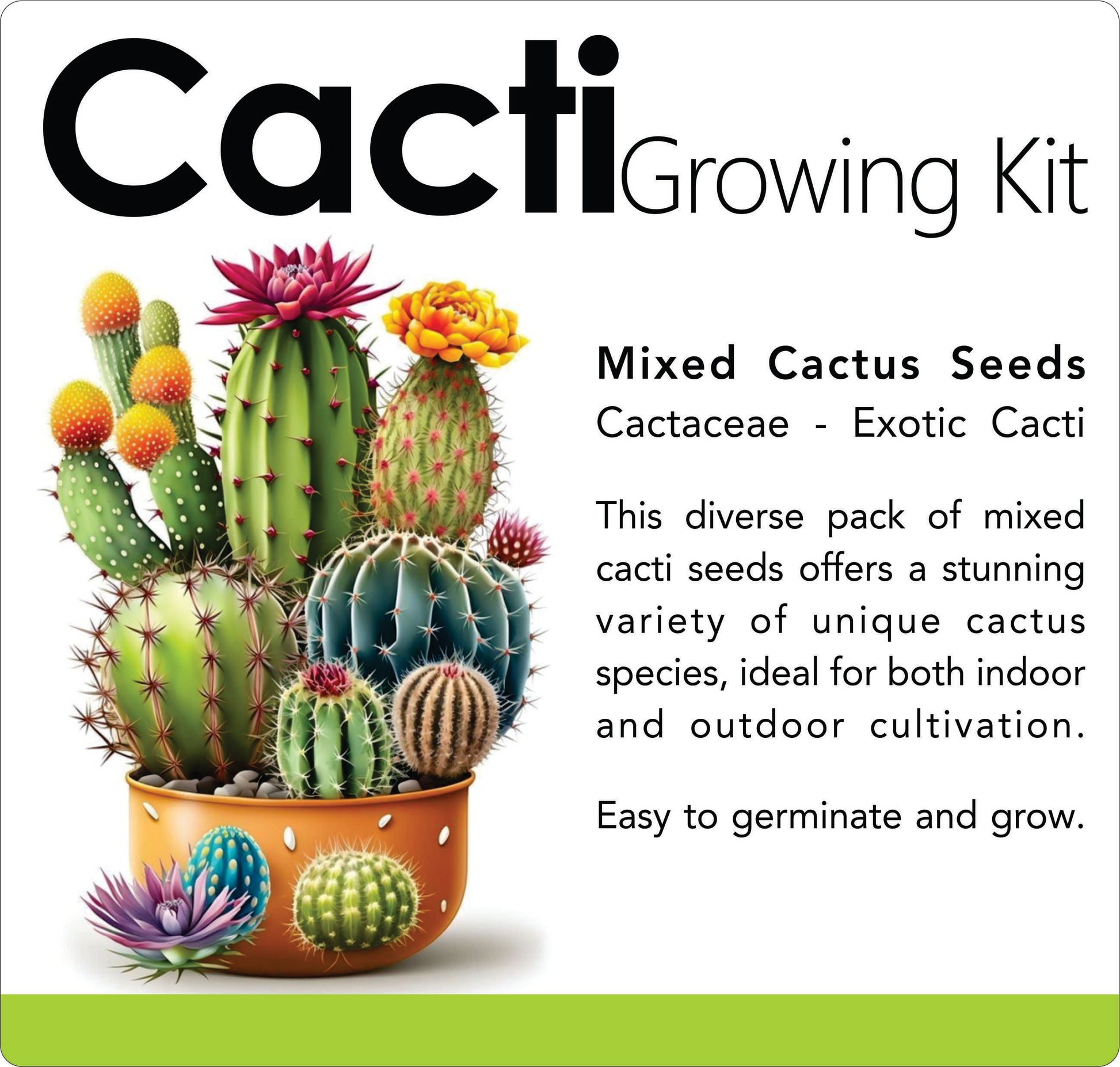 types of cactus seeds Cacti Growing Kit