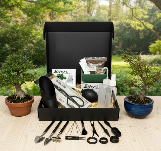 Bosai Gift Box