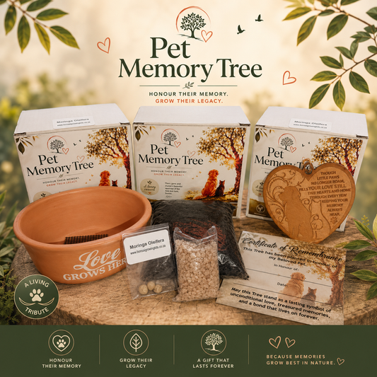 Pet Memory Tree