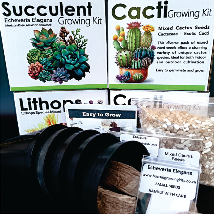 Lithops Growing Kit